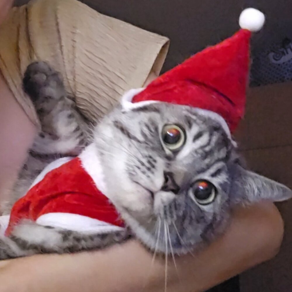 Meet your Posher, Angel